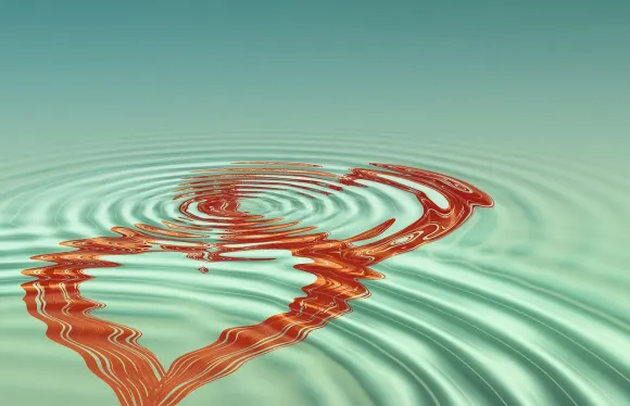 Casigo Kasino Sokongan